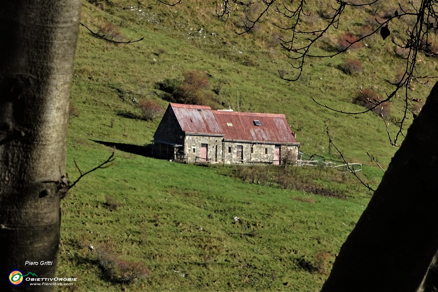 27  Baita Baciamorti (1453 m) allo zoom dalla faggeta.JPG